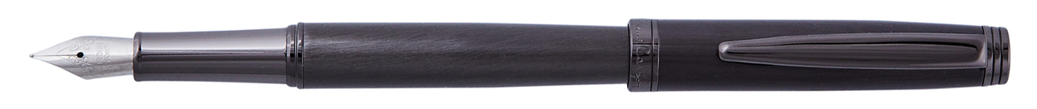 Ручка перьевая PIERRE CARDIN PC2304FP