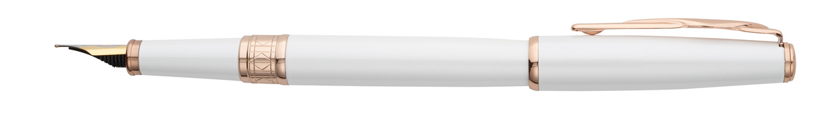 Ручка перьевая PIERRE CARDIN PCA1061FP