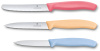 Набор из 3 ножей Swiss Classic VICTORINOX 6.7116.34L1