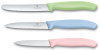 Набор из 3 ножей Swiss Classic VICTORINOX 6.7116.34L3