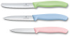 Набор из 3 ножей Swiss Classic VICTORINOX 6.7116.34L3