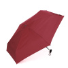 Зонт женский 5 сложений TORBER TUS24095R